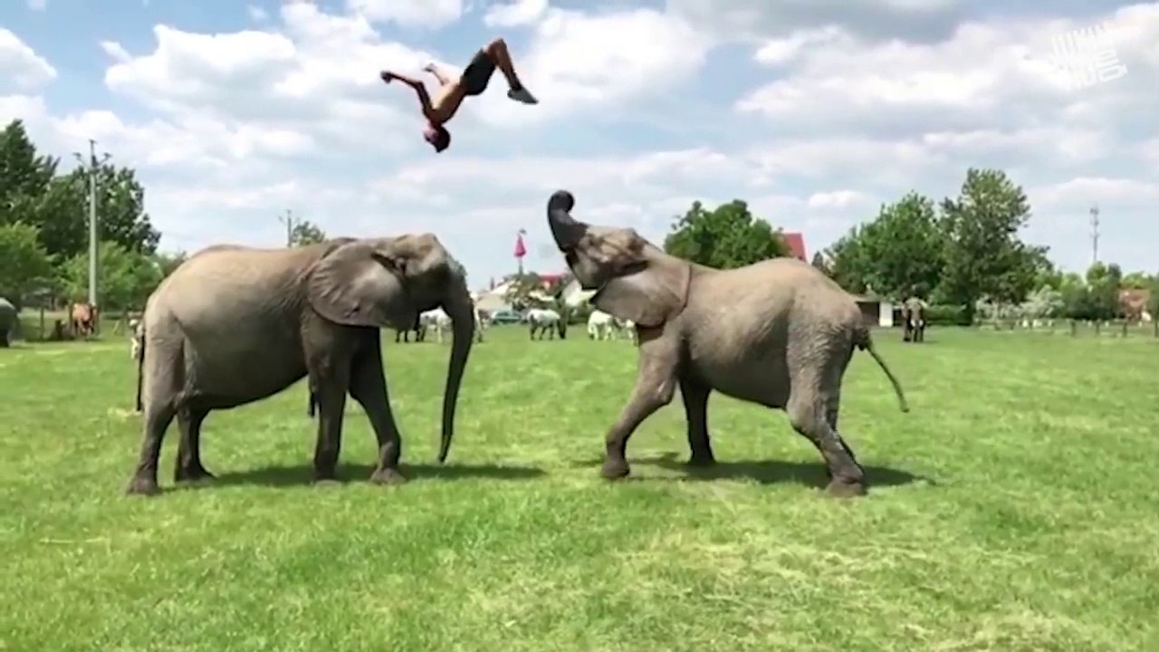 Top 100 Viral Videos of the Year 2018