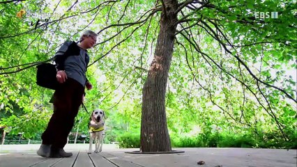 EBS 다큐프라임 - Docuprime_한반도 대서사시 나무 (슈베르트와 나무)_#002