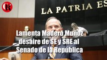 Lamenta Madero Muñoz desaire de SE y SRE al Senado de la República