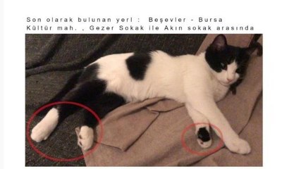 Firar etti! Bulana para ödülü