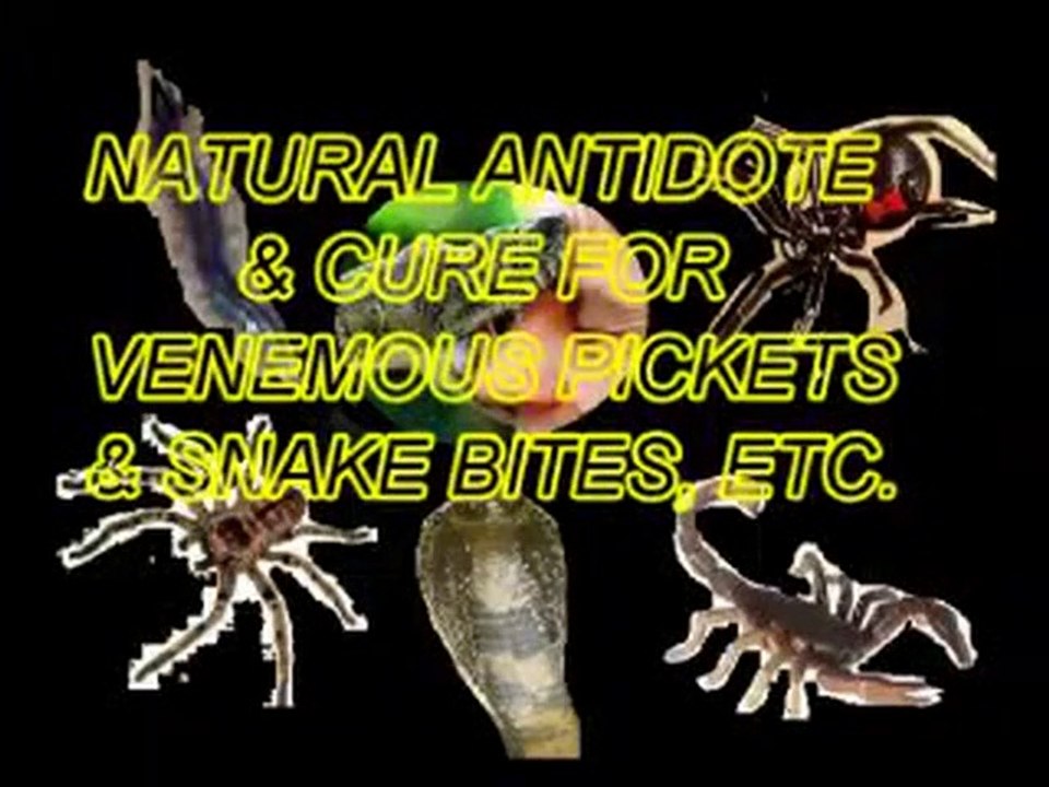 NATURAL ANTIDOTE & CURE FOR VENEMOUS PICKETS & SNAKE BITES.-SD