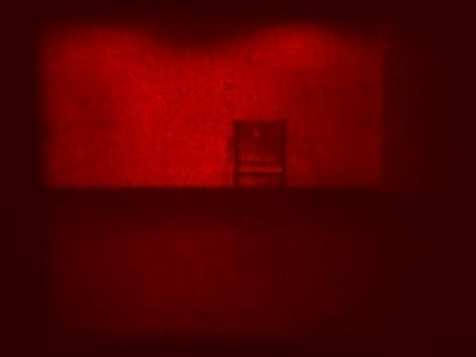 L'animisme à quatre pattes