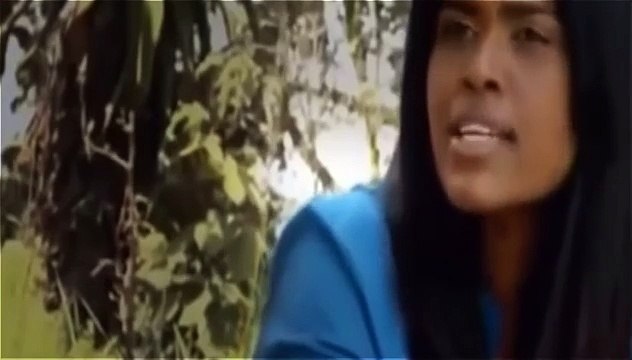 ► KNOCKING GIRAFFES (Lions Documentary) - National Geographic WILD HD