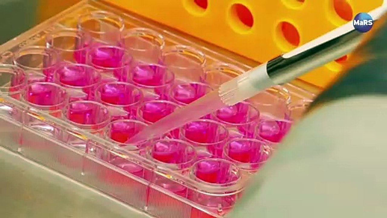 This Amazing Tool Can Make Changes in the DNA of Any Living Organism