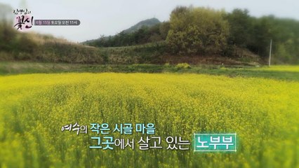 시골 노부부의 사랑 이야기_김영임의 꽃신 2회 예고