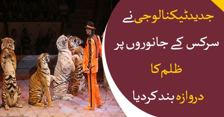 Digital circus introduced to finish forced animal violence