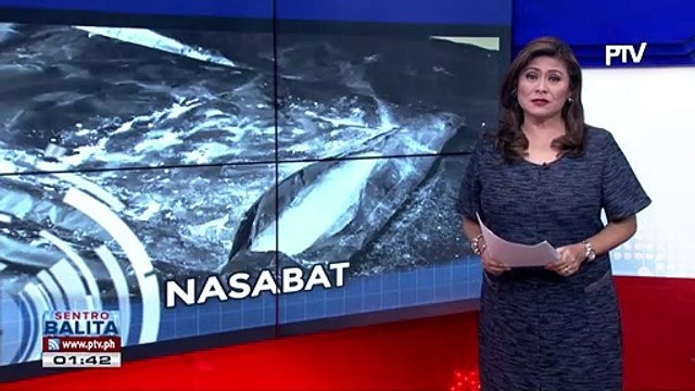 P9-M halaga ng cocaine, nasabat sa NAIA