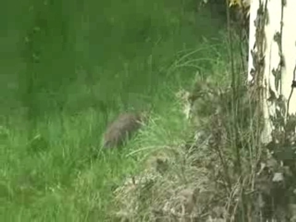 c'est beau la nature