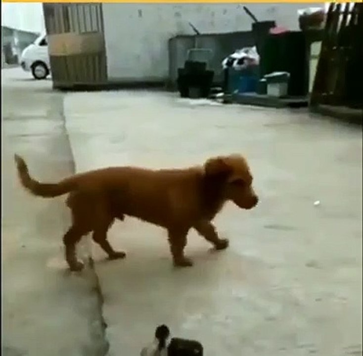 funny