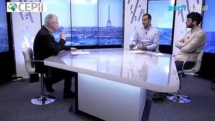 Evitement fiscal des multinationales : le rôle clé des plateformes [Farid Toubal et Sébastien Laffitte]
