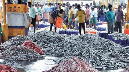 ഒരു കിലോ ചാളയുടെ വില കേട്ടാല്‍ ഞെട്ടും