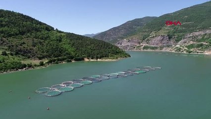 ARTVİN Baraj gölünde ürettiği somonları, dünyaya ihraç ediyor
