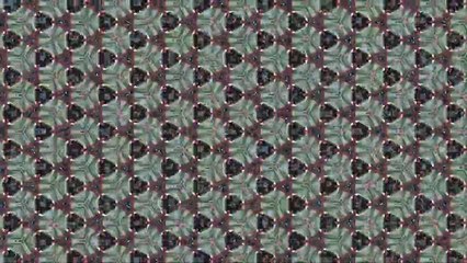 04101TrashRecPI  -  Becky Beckmann NEW CLIP /Full Film/Complete Movie/Ganzer Film