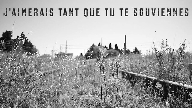 J'aimerais tant que tu te souviennes un hommage à la mémoire des déportés tziganes