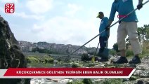 Küçükçekmece Gölü’nde tedirgin eden manzara