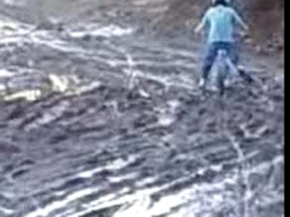 sortie foret 2  proto