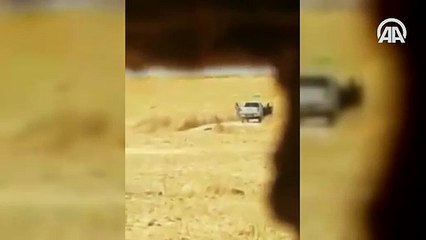 YPG/PKK'lı teröristler sivillere ait arazileri ateşe verirken görüntülendi