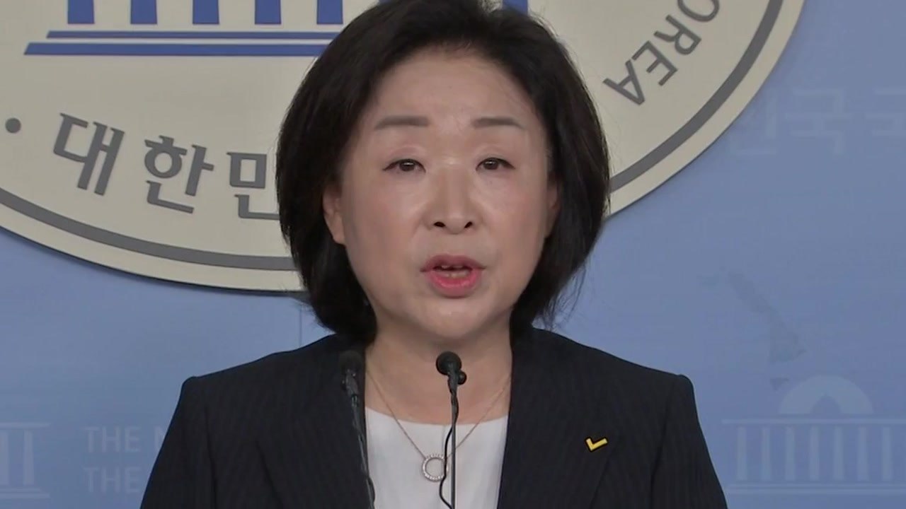 심상정 "정의당 대표 출마...민생 개혁 책임자" / YTN