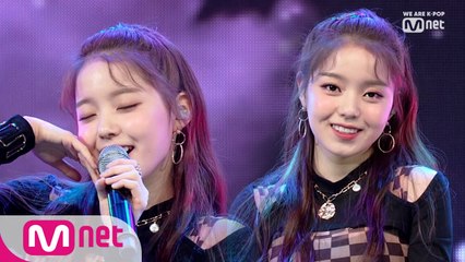 음색 요정 '로시'의 'BEE' 무대