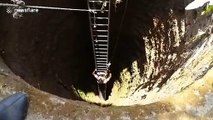 Wild bear rescued from 30-foot-deep well after injuring four villagers in eastern India