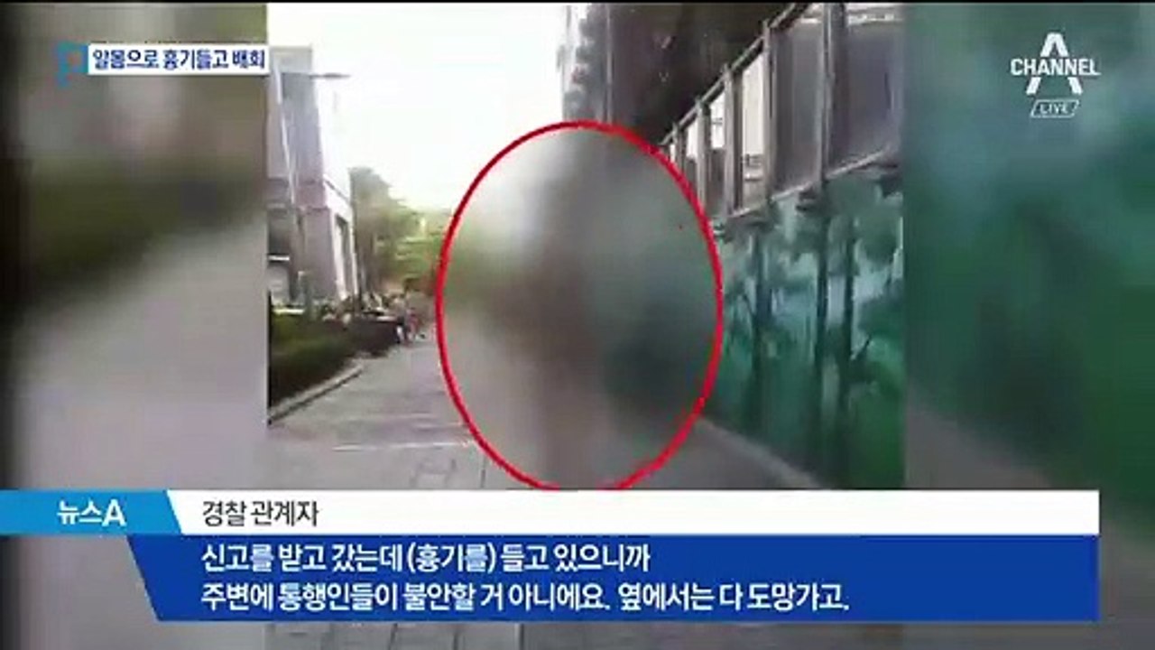 초등생 등굣길 흉기들고 나체 배회…체포 50대 ‘횡설수설’