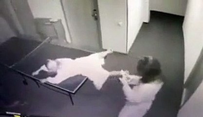 Elles prennent des poses débiles sur une table de ping-pong et ce qui devait arriver arriva