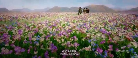 Ma thổi đèn: trùng cốc vân nam  tập 2 | Phim hành động, phiêu lưu | Phim247tk