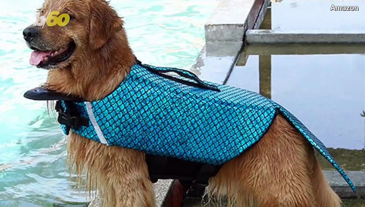 Keep Your Dog Safe and Fashionable in This Mermaid Tail Life Vest