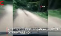 Karadenizli vatandaş aracının önünde koşan ayıyı böyle görüntüledi