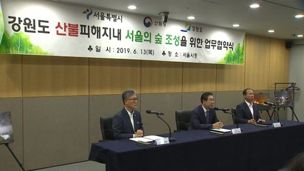 [서울] 강원도 산불 피해지역에 '서울의 숲' 조성 / YTN