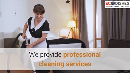 Carpet Cleaning Miami | 3055466638 | eco-dishes.com