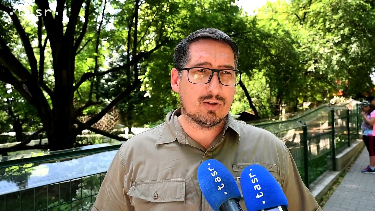 ZOO Bojnice: Zvieratá dostávajú v horúčavách aj špeciálne nanuky