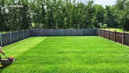 Canada dad shows just how satisfying mowing a lawn can be