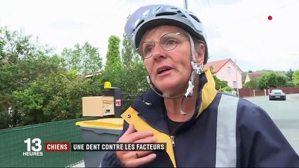 La Poste : les facteurs trop souvent attaqués par des chiens