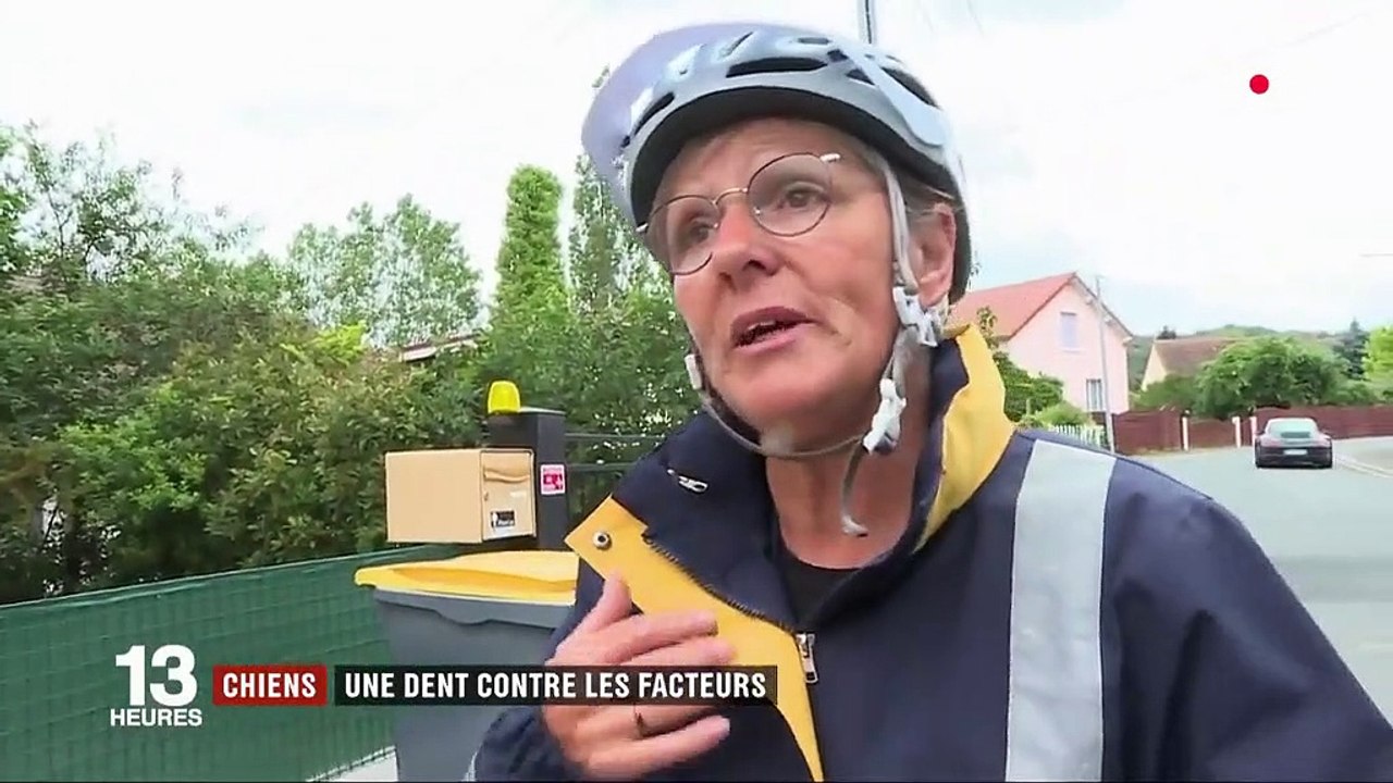 La Poste : les facteurs trop souvent attaqués par des chiens