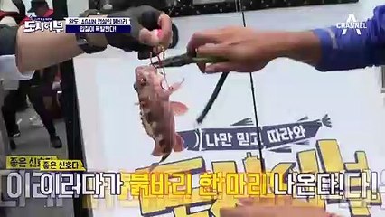 ↖드디어 입질 폭발하다↗ 이번엔 진짜다! 탐스런 참돔 획득한 집어맨 최현석~