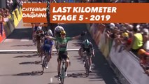 Last Kilometer / Dernier kilomètre - Étape 5 / Stage 5 - Critérium du Dauphiné 2019