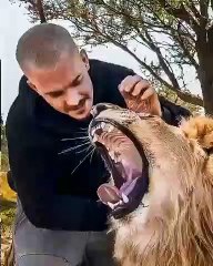 Cet homme et son lion ont une complicité hors du commun. Regardez les !