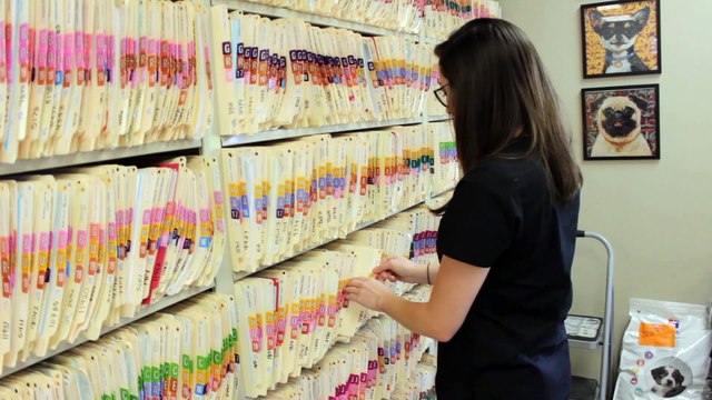 Welcome to Oakdale Animal Hospital