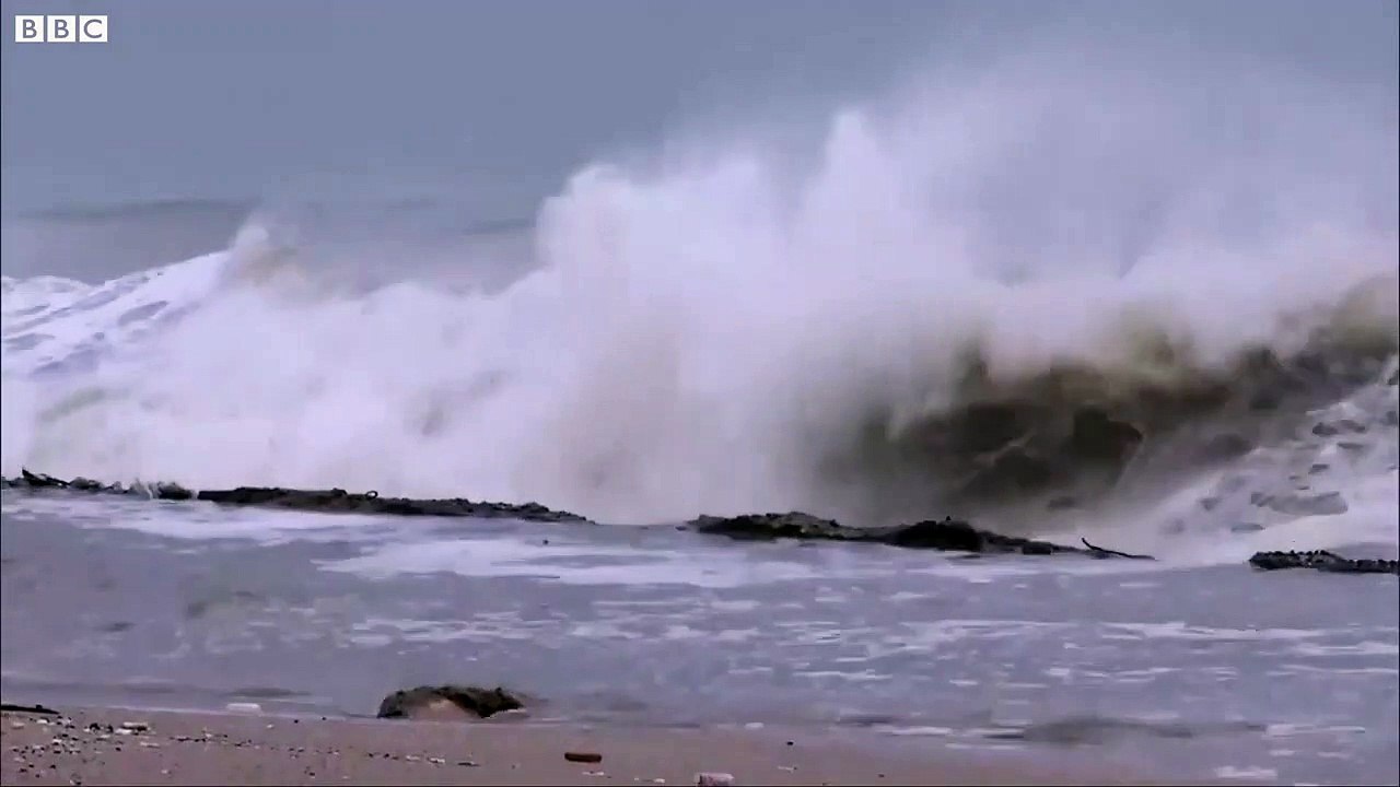 Vayu Cyclone ने Gujarat में जब समंदर को डरावनी लहरों में बदल दिया! (BBC Hindi)