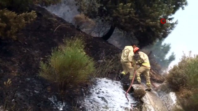 İzmir'de orman yangını: Yangına havadan ve karadan müdahale ediliyor