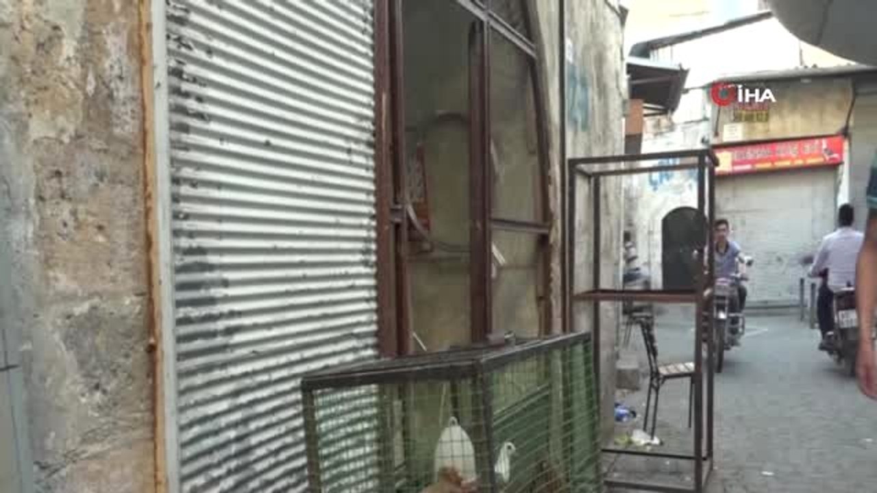 Veresiye güvercin problemine şaşırtıcı çözüm...Güvercin almak için sabıka kaydı ve 3 memur kefil