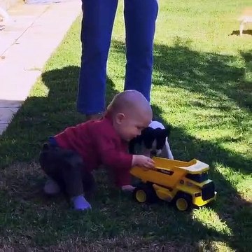 Ce bébé adore jouer avec son chiot. Regardez comme ils sont mimi !