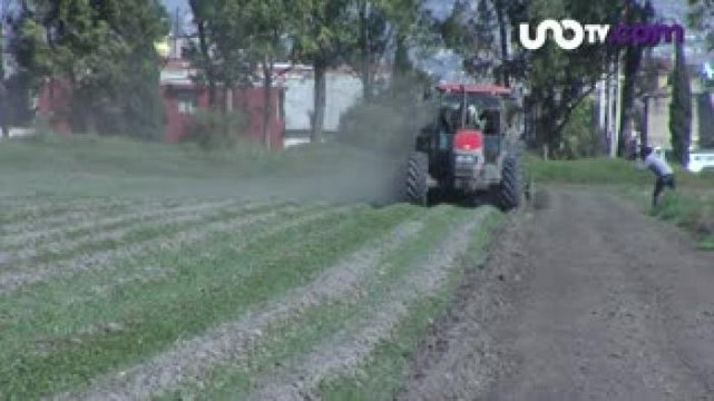Alejandra Cullen | Las buenas intenciones tienen que convertirse en acciones