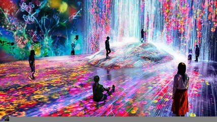 Ciencia y Tecnología | Tokio tiene le museo más increíble del mundo