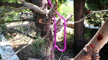 Belediyenin borcuna karşılık türbeyi sattılar