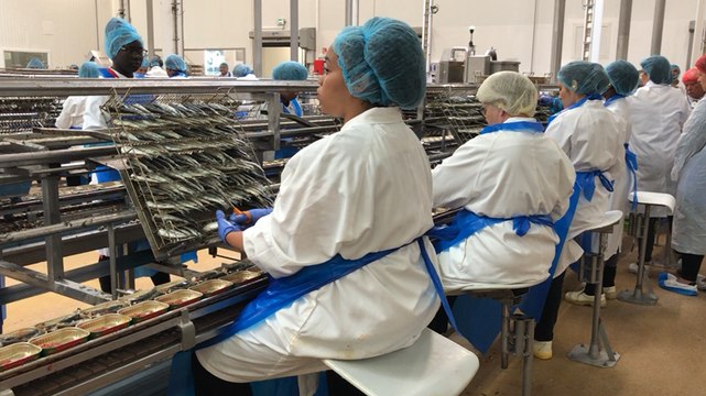 Comment sont fabriquées les boîtes de sardines Le Connétable ?