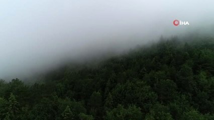 Kartpostallık görüntü oluşturan sis havadan görüntülendi