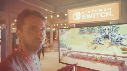 Link's Awakening Remake : "Quel meilleur traitement que celui-là ?"