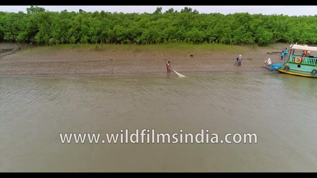 Aerials of Satjelia village along with the Gomdi river flows through Sundarbans